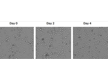 Tools for Cell Biology - Nano Life Quest Sdn Bhd